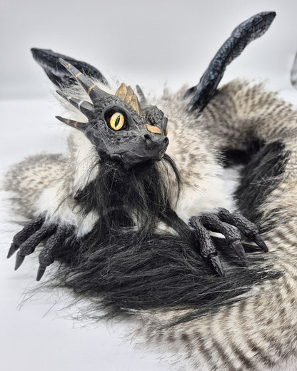 Juvenile Dragon