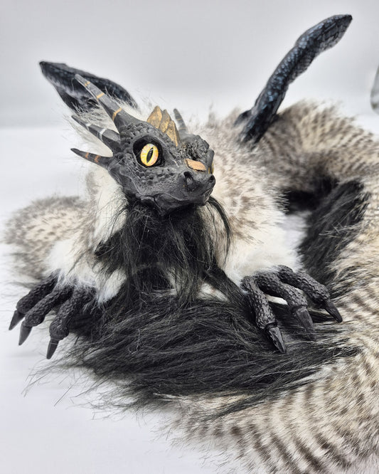 Juvenile Dragon