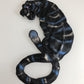 Tiger 3D Wall Art - Rocky Mountain Dragons LLC