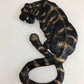 Tiger 3D Wall Art - Rocky Mountain Dragons LLC